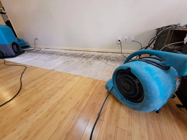 Professional Basement Flood Cleanup technician working in Sunapee, NH